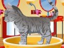 Play free game online: Petz Fashion