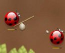 Play free game online: Spider bugs