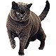 More Avatars to free download