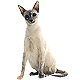 More Avatars to free download