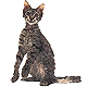 More Avatars to free download