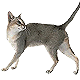 More Avatars to free download