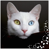 More Avatars to free download