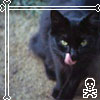 More Avatars to free download