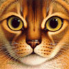 More Avatars to free download