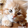 More Avatars to free download