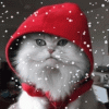 More Avatars to free download