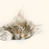 More Avatars to free download