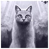 More Avatars to free download