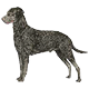 More Avatars to free download