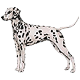 More Avatars to free download