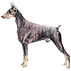 More Avatars to free download
