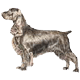 More Avatars to free download