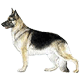 More Avatars to free download