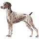 More Avatars to free download