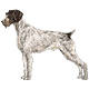 More Avatars to free download