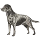 More Avatars to free download