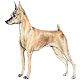 More Avatars to free download