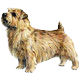 More Avatars to free download