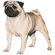 More Avatars to free download