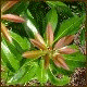 Avatars to free download for your forum or blog (7 100 avatars)