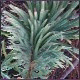 Avatars to free download for your forum or blog (7 100 avatars)