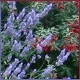 Avatars to free download for your forum or blog (7 100 avatars)