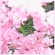 Avatars to free download for your forum or blog (7 100 avatars)