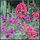 Avatars to free download for your forum or blog (7 100 avatars)