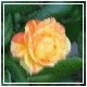 Avatars to free download for your forum or blog (7 100 avatars)