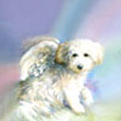 Avatars to free download for your forum or blog (7 100 avatars)