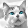 More Avatars to free download