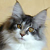 More Avatars to free download