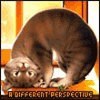 More Avatars to free download