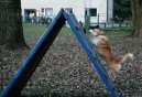 Agility