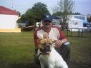 Ps plemena: Stedn > Americk bulldog (American Bulldog)