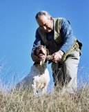 :  > Navarrsk oha (Navarro Pointer, Old Spanish Pointer)