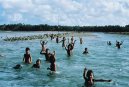 Fotky: Tuvalu (foto, obrazky)