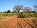 Zambia