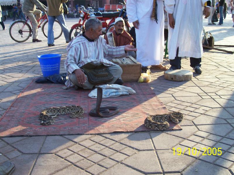 Photo: Setkání s kobrou-Zaříkávači hadů v Marakéši