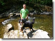 Berner Sennenhund