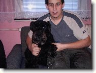 Schnauzer