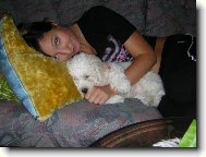 Bichon á poil frisé, Bichon Frise
