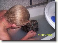 Fila Brasileiro
