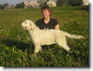 Tatra shepherd dog \(Dog standard\)