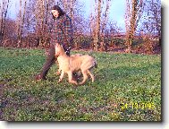 Fila Brasileiro
