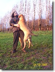 Fila Brasileiro