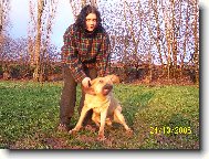 Fila Brasileiro