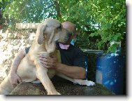 Fila Brasileiro