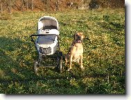 Fila Brasileiro